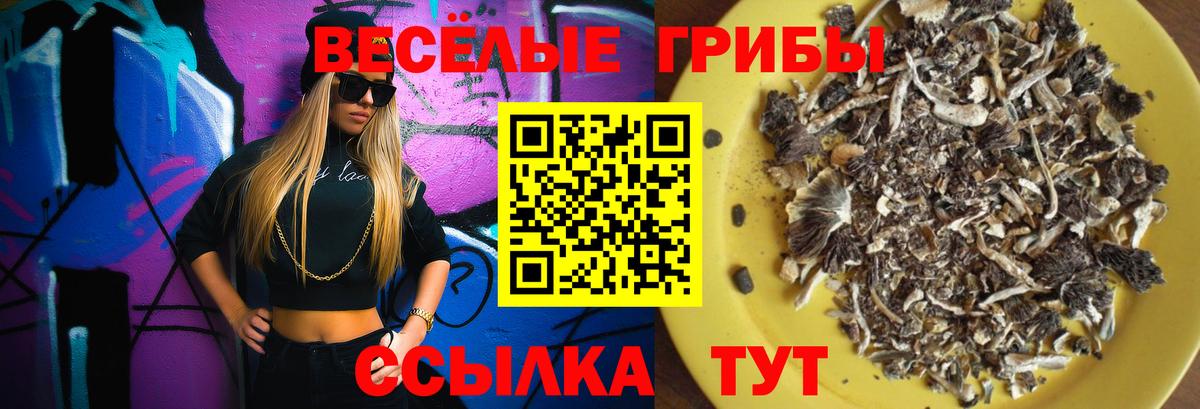 Алексеевка  купить наркотики сайты  Вход с VPN  Галлюциногенные грибы Psilocybine cubensis  Галлюциногенные грибы Psilocybine cubensis 